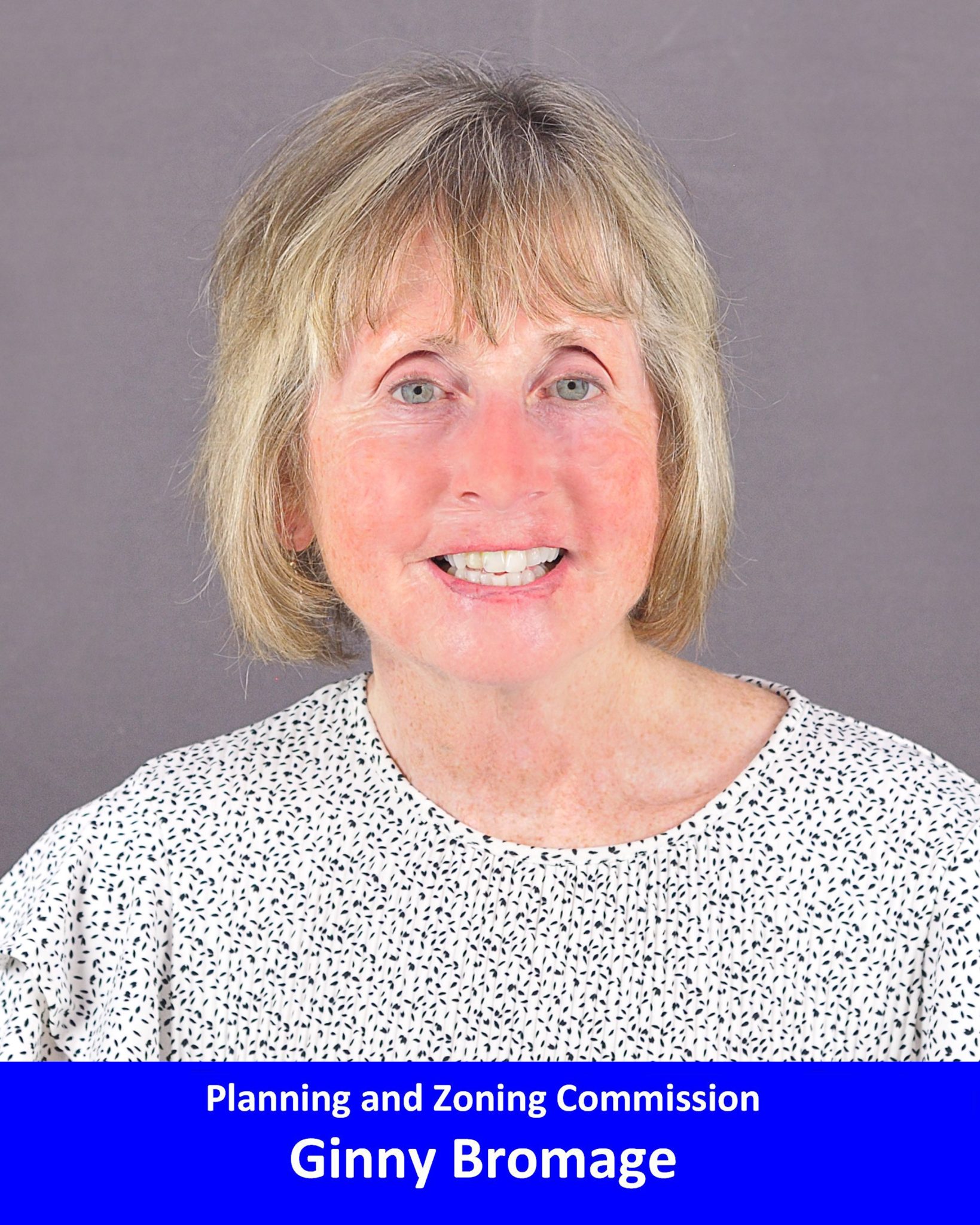 Ginny Bromage Planning + Zoning Commission Suffield Democratic Town